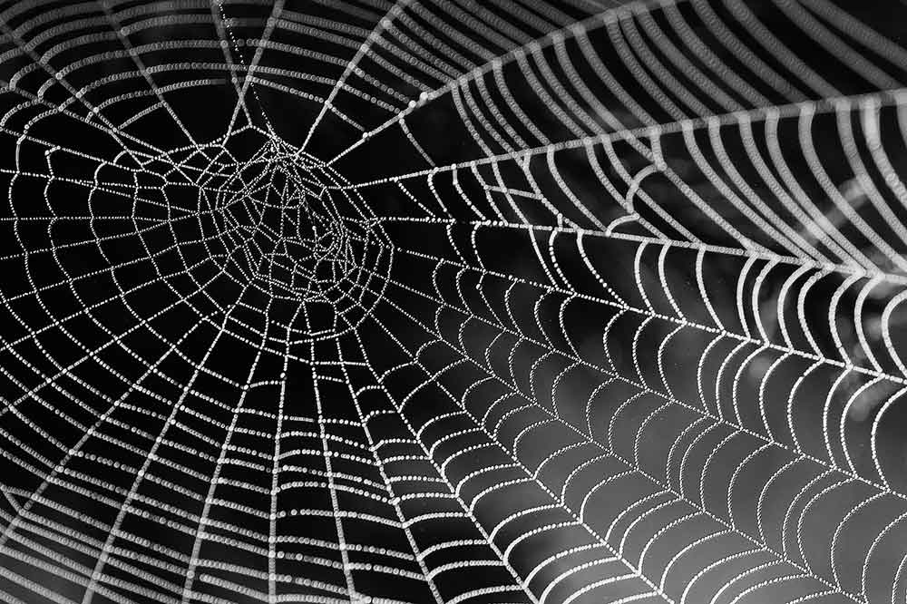 Link Building Strategy
