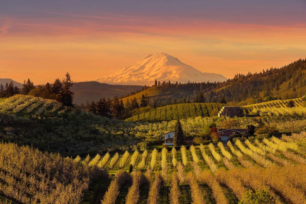 Oregon