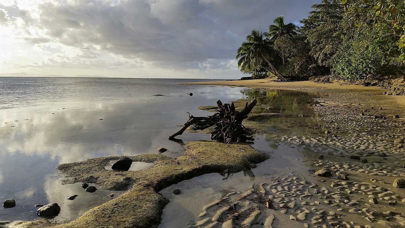 Fiji Beach 3