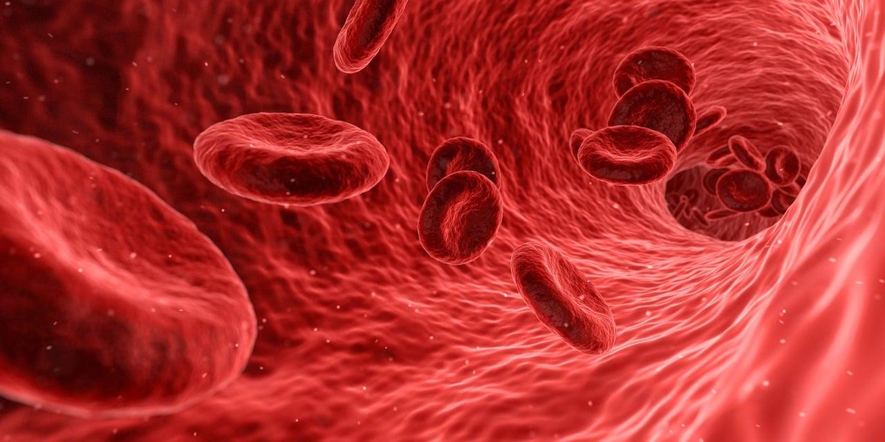 Blood Vessels - Integrated Health