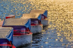 boats at dock